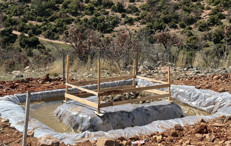 Şaphane’de Çam Kese Böceği ile mücadele