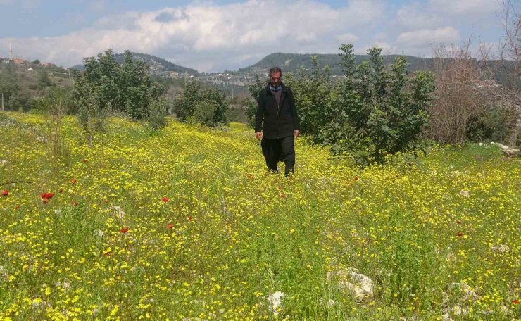 Yayla ve köyler baharla yeşile bürünerek renklendi