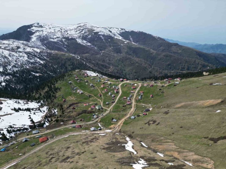 Karları eriyen Sis Dağı misafirlerini ağırlamaya başladı