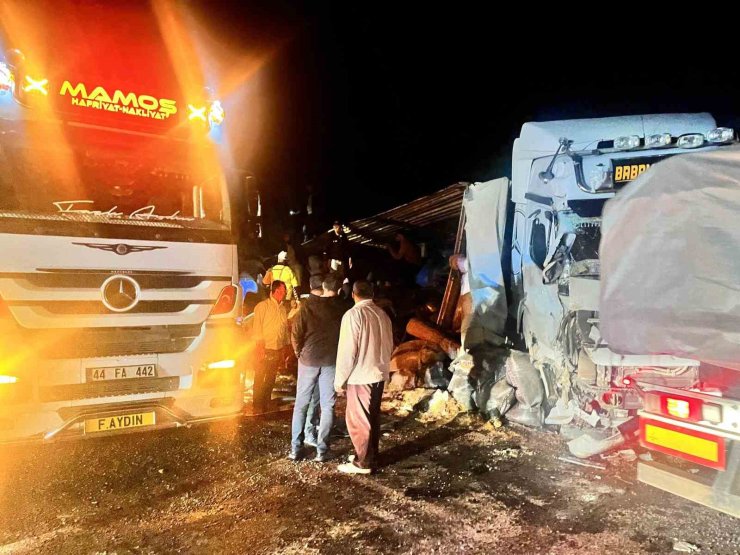 Malatya’da yem yüklü tır devrildi