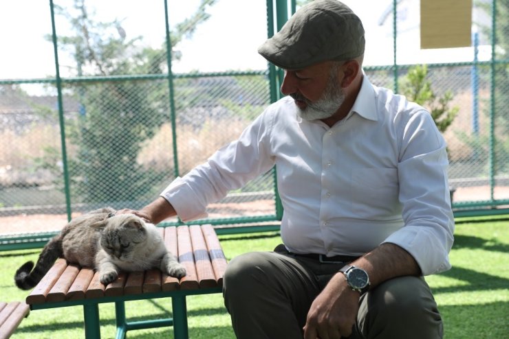 Kayseri’de ilk olan Küçük Dostlar Kedi Kasabası’na bir yılda rekor ziyaret