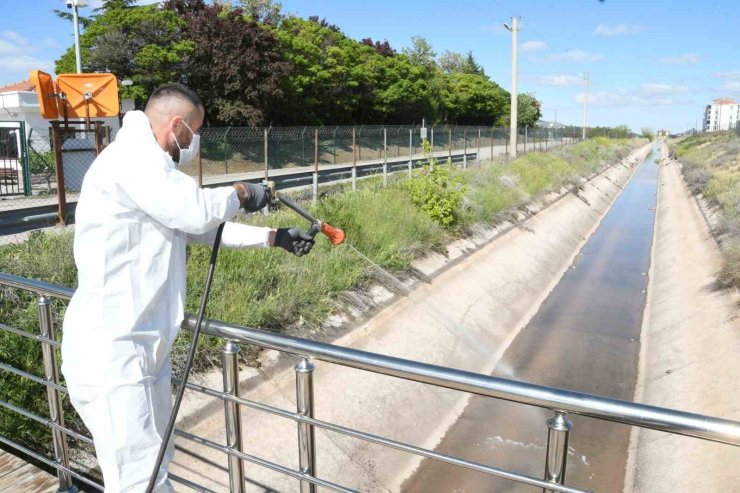 Aksaray Belediyesi dere ve göletlerde erken larva mücadelesi başlattı