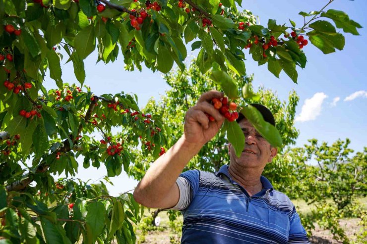 Depremden etkilendi, köyüne geri döndü