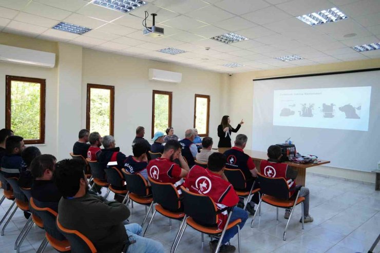 Sokak hayvanlarını yakalama ve toplama eğitimi