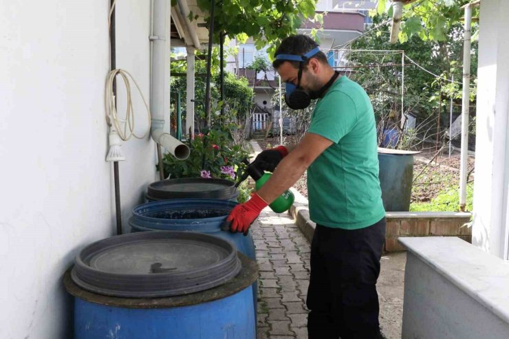 Ekipler sivrisineklerle mücadele için sahada