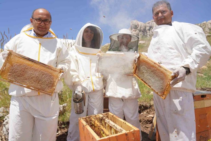 Erzincan’da 100 bin üzeri kolonide 1 milyon kilogram bal üretiliyor