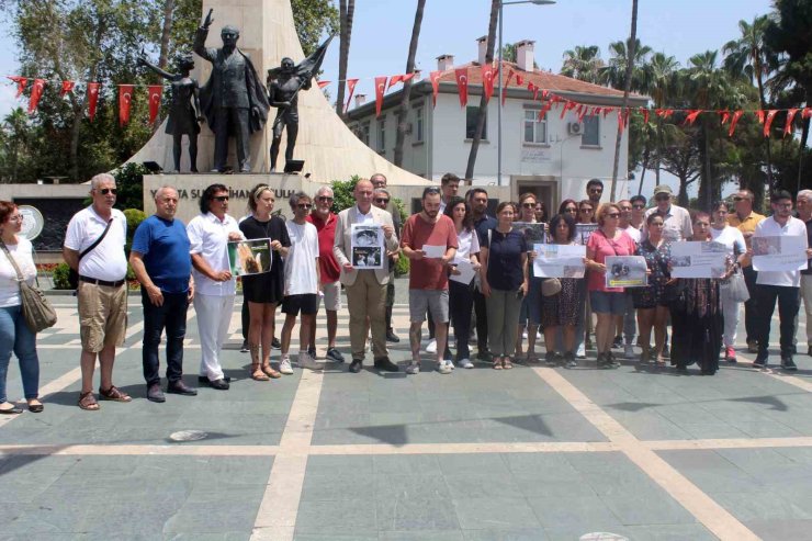 Alanya’da hayvanseverlerden sokak hayvanları düzenlemesine tepki