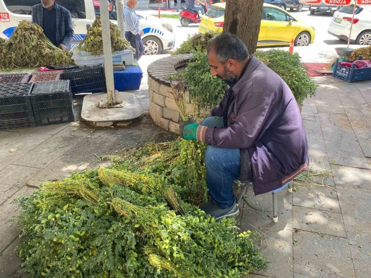 Elazığ’da yeşil nohut tezgahlardaki yerini aldı