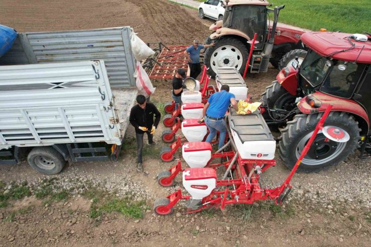 Tomarza’da kabak çekirdekleri ekildi