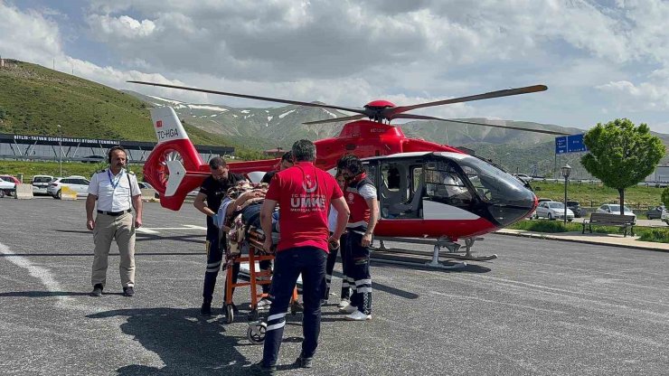 Arıların soktuğu hasta ambulans helikopterle Tatvan’a sevk edildi