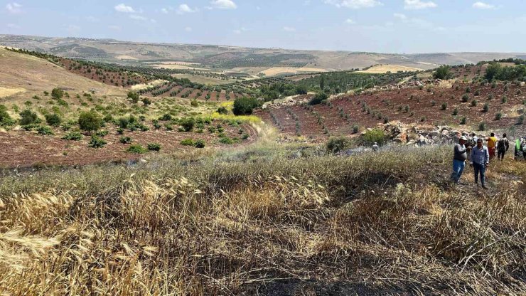 Kilis’te çıkan yangında 15 dönüm alanda ekili buğday kül oldu