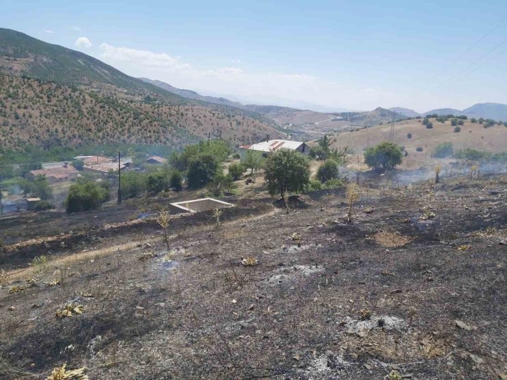 Elazığ’da ot yangını