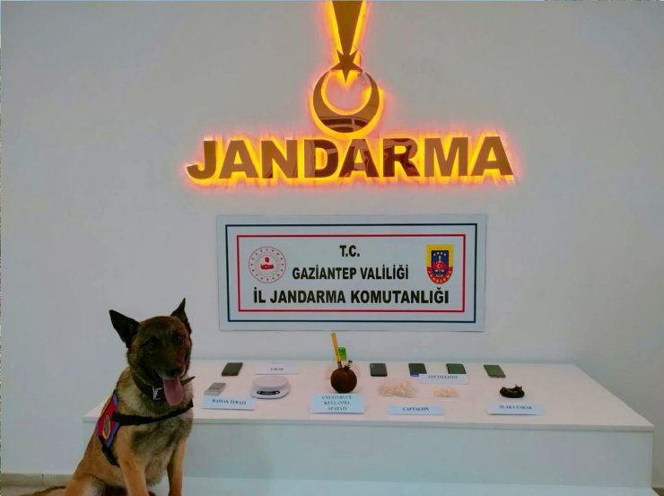 Gaziantep jandarmadan 2 ayda 823 şüpheliye gözaltı