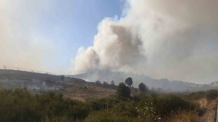 Foça’daki yangının arkasından iki sorumsuz çıktı: Yakalandılar