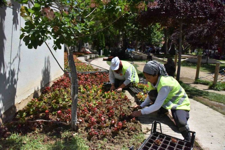 Belediye hem kendisi ekiyor hem de kendisi süslüyor