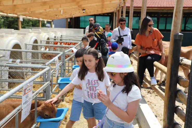 Dünya Süt Günü’nü coşkuyla kutlandılar