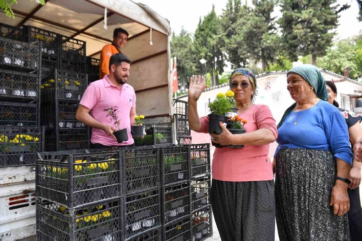 Mersin’de sivrisinek ve haşere ile bitkisel mücadele