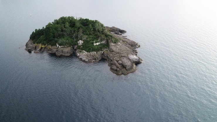 Doğu Karadeniz’in tek yaşanabilir adasını turizme kazandırmak için yatırımcı bekleniyor