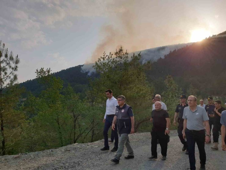 Sinop’taki orman yangını kontrol altına alındı