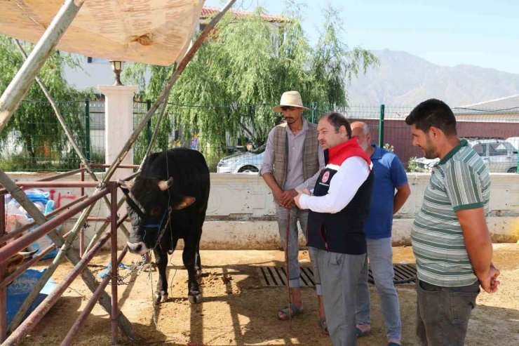 Erzincan Hayvan Pazarında denetimler sürüyor