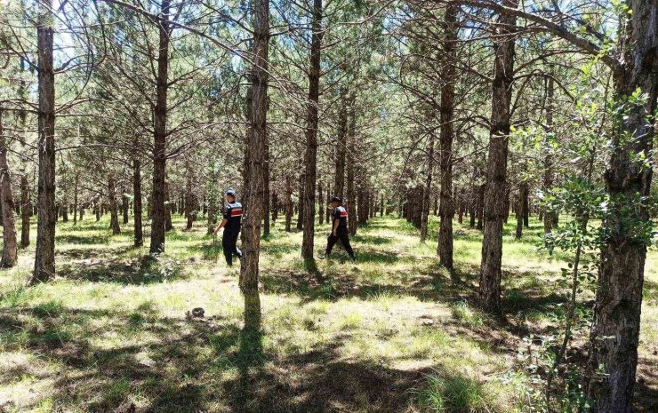 Çavdarhisar’da jandarma yangınlara karşı ormanlık alanları kontrol etti