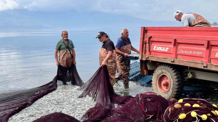 Gümüş balığında umutlar Ağustos’a kaldı