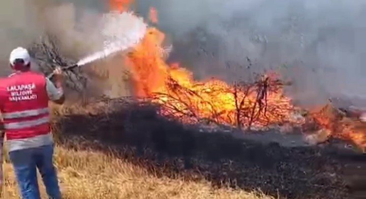 Anız yangını ormana sıçradı