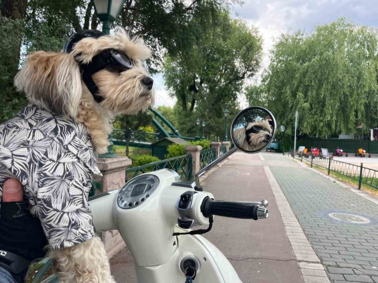 Motosiklet tutkunu ’Papi’ herkesin ilgi odağı oldu