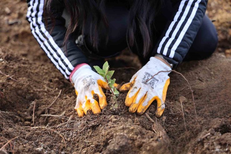 Yeşil Dönüşüm Ormanları Projesi, 80 bin metrekare yeşil alan oluşturdu