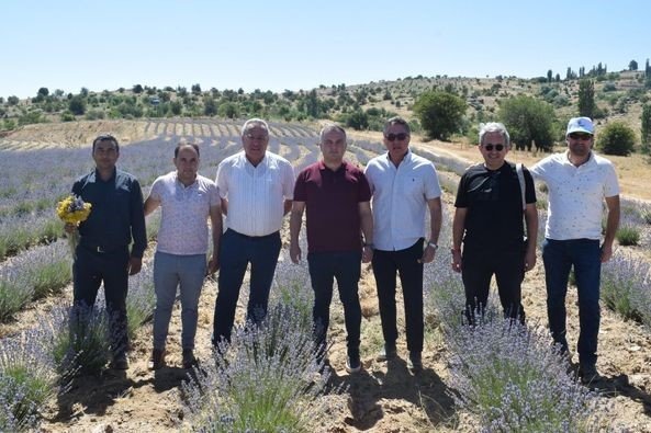 Kaymakam Gökçe, lavanta ve altın otu hasadına katıldı