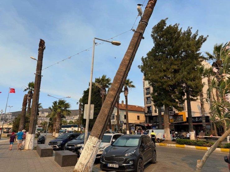 Kuşadası’nda faciaya ramak kaldı