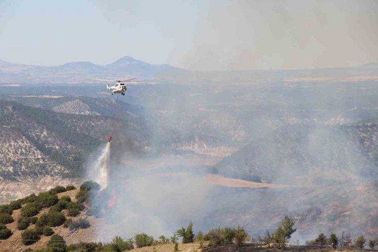 Çal’da makilik alanda çıkan yangında 20 hektar alan zarar gördü