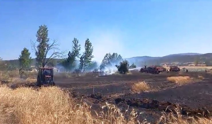 Tavşanlı’da buğday ekili alanda çıkan yangın kısa sürede söndürüldü