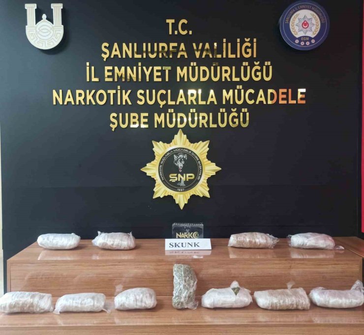 Şanlıurfa’da 6 kilo 550 gram skunk ele geçirildi