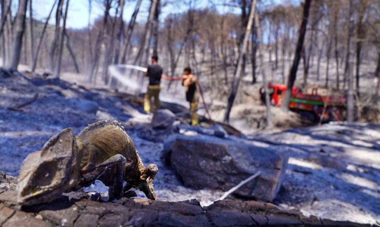 İzmir’in ateş savaşçıları ağaçlar için nöbette