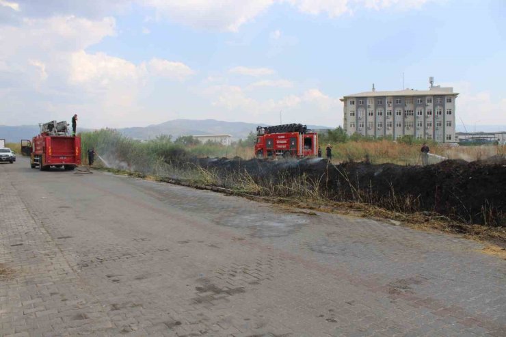 Sazlık alanda çıkan yangın itfaiyenin müdahalesiyle söndürüldü