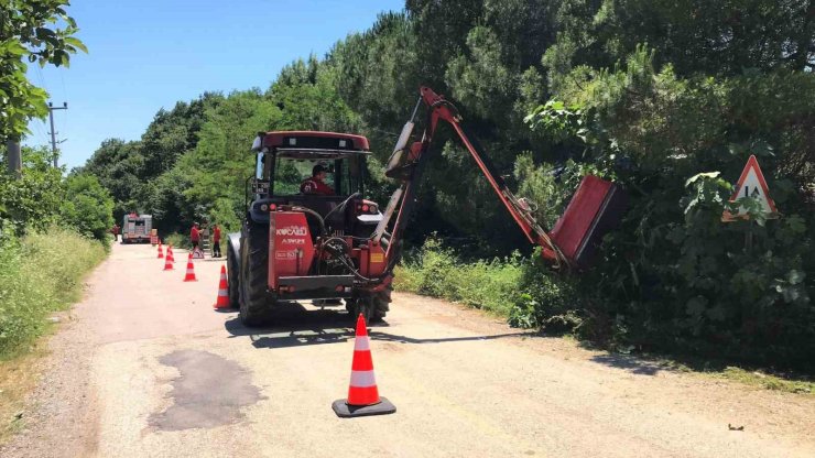 Yol kenarındaki otlar ve çalılar temizleniyor