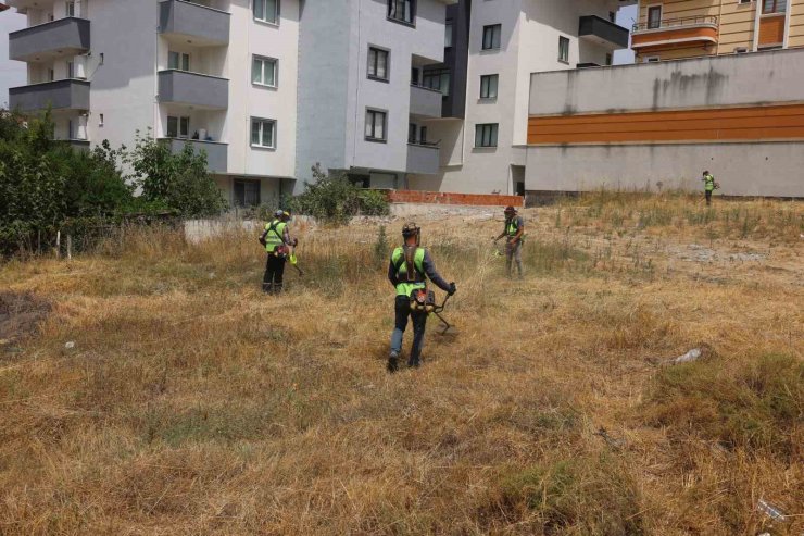 Çayırova’da yabani otlar temizleniyor