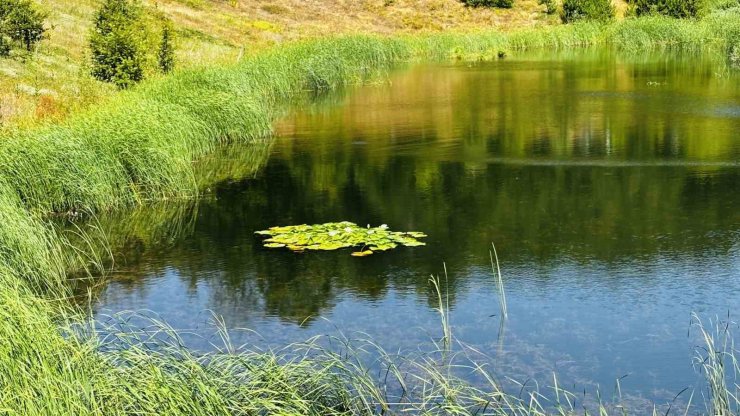 Karagöl turizme kazandırılacak