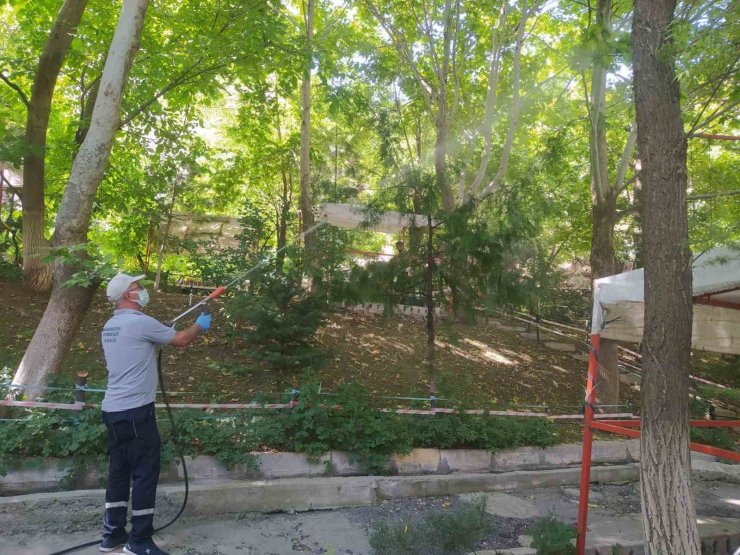 Hakkari’de haşere ile mücadele devam ediyor