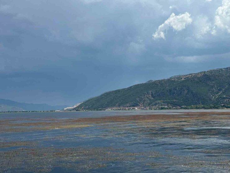 Bakanlık harekete geçti, Eğirdir Göl’ü temizlenecek