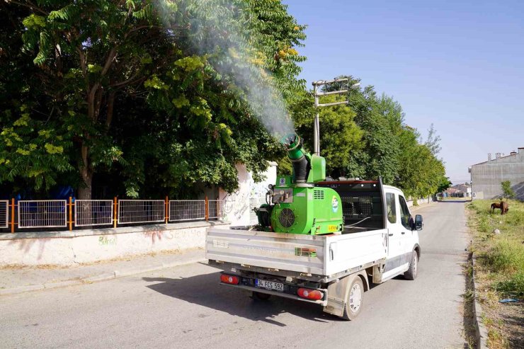 Tepebaşı ilçe merkezinde ve kırsalda haşere ile mücadele