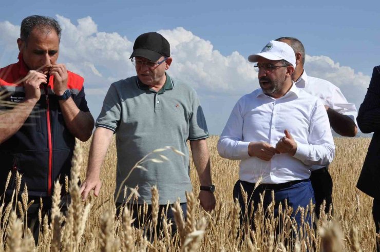 Kars’ta yüzde 50 hibeyle dağıtılan tohumlar tarlalara ekildi