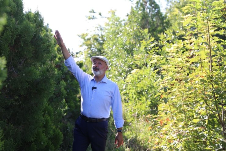 Başkan Çolakbayrakdar: "Daha yeşil bir Kayseri için çalışıyoruz"