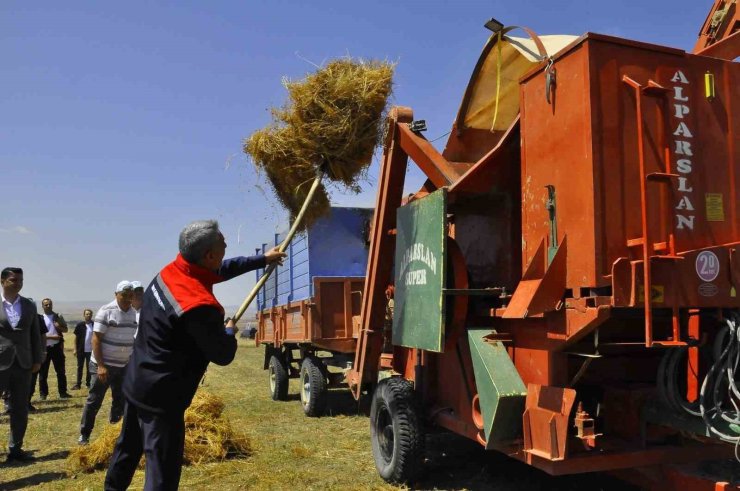 Yozgat’ta yeşil mercimek ekim alanı yüzde 30 artarak 224 bin dekara yükseldi