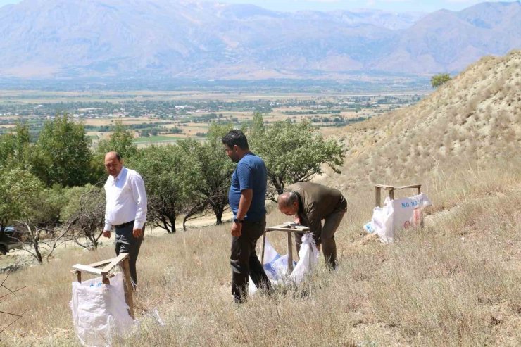 Erzincan’da tuz çalısı Demonstrasyonu sürüyor