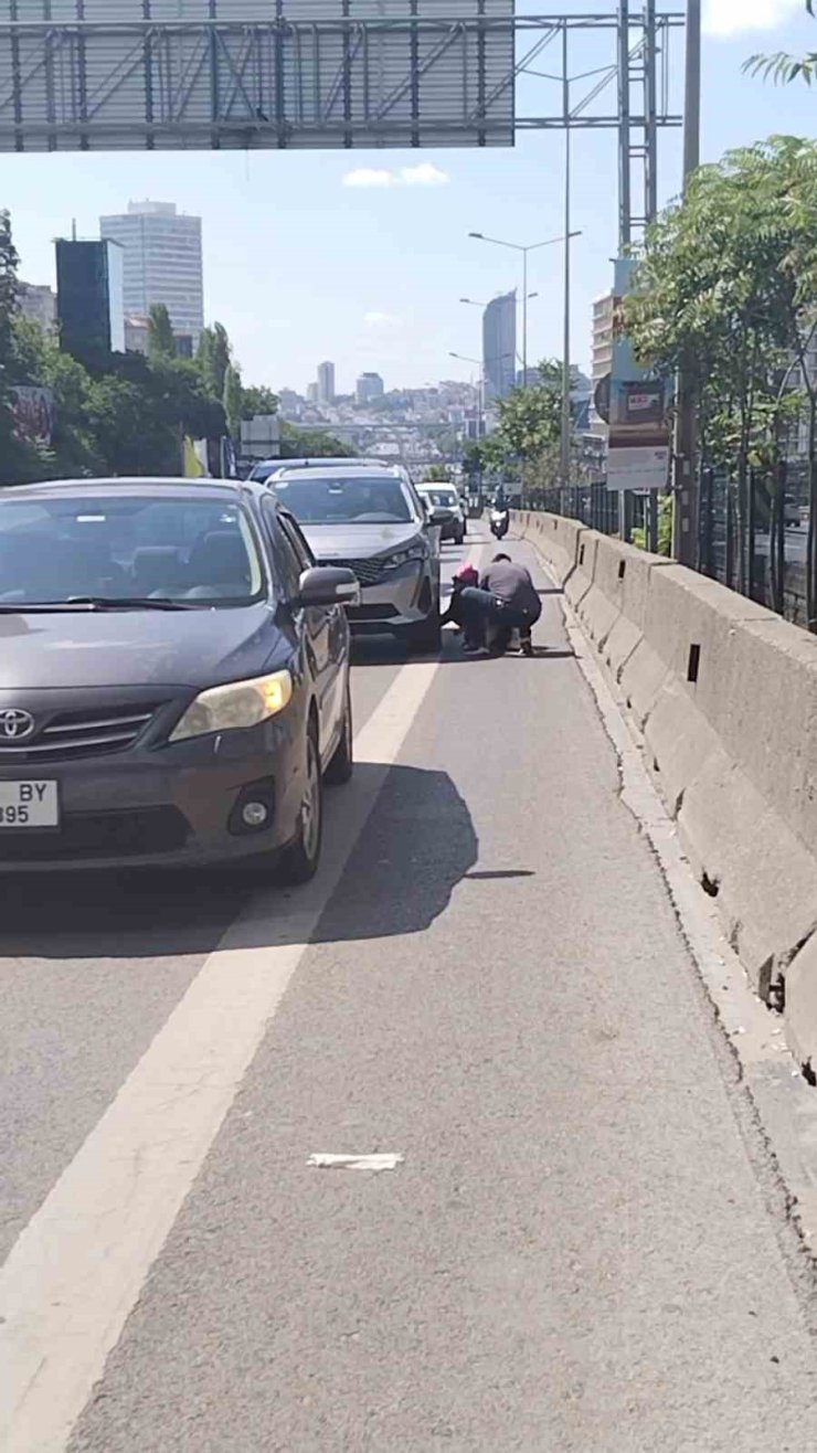 Kadıköy D-100 karayolunda yavru kediyi kurtaran duyarlı vatandaş kamerada