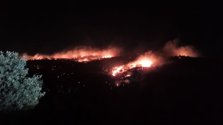 Mardin’de gece saatlerinde korkutan yangın kontrol altına alındı