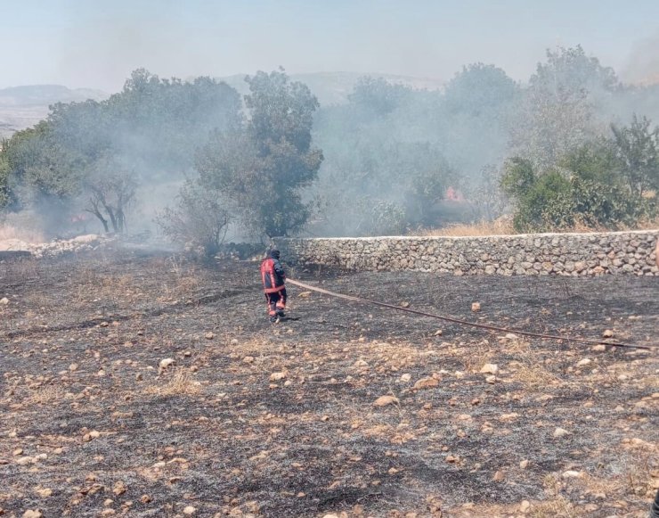 Şırnak’ta örtü yangını