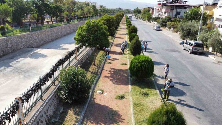 Nazilli’de yürüyüş yolları temizlendi